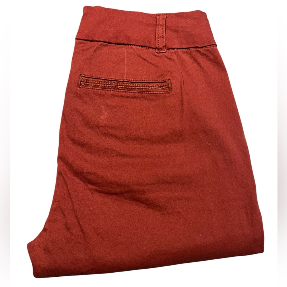 Dictionary • Terracotta Skinny Trouser